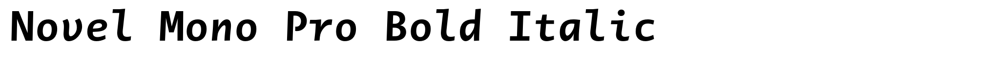 Novel Mono Pro Bold Italic image